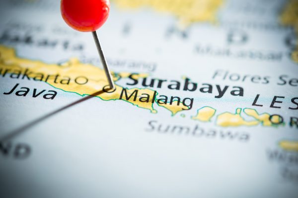 Operator Bus Banyuwangi Malang